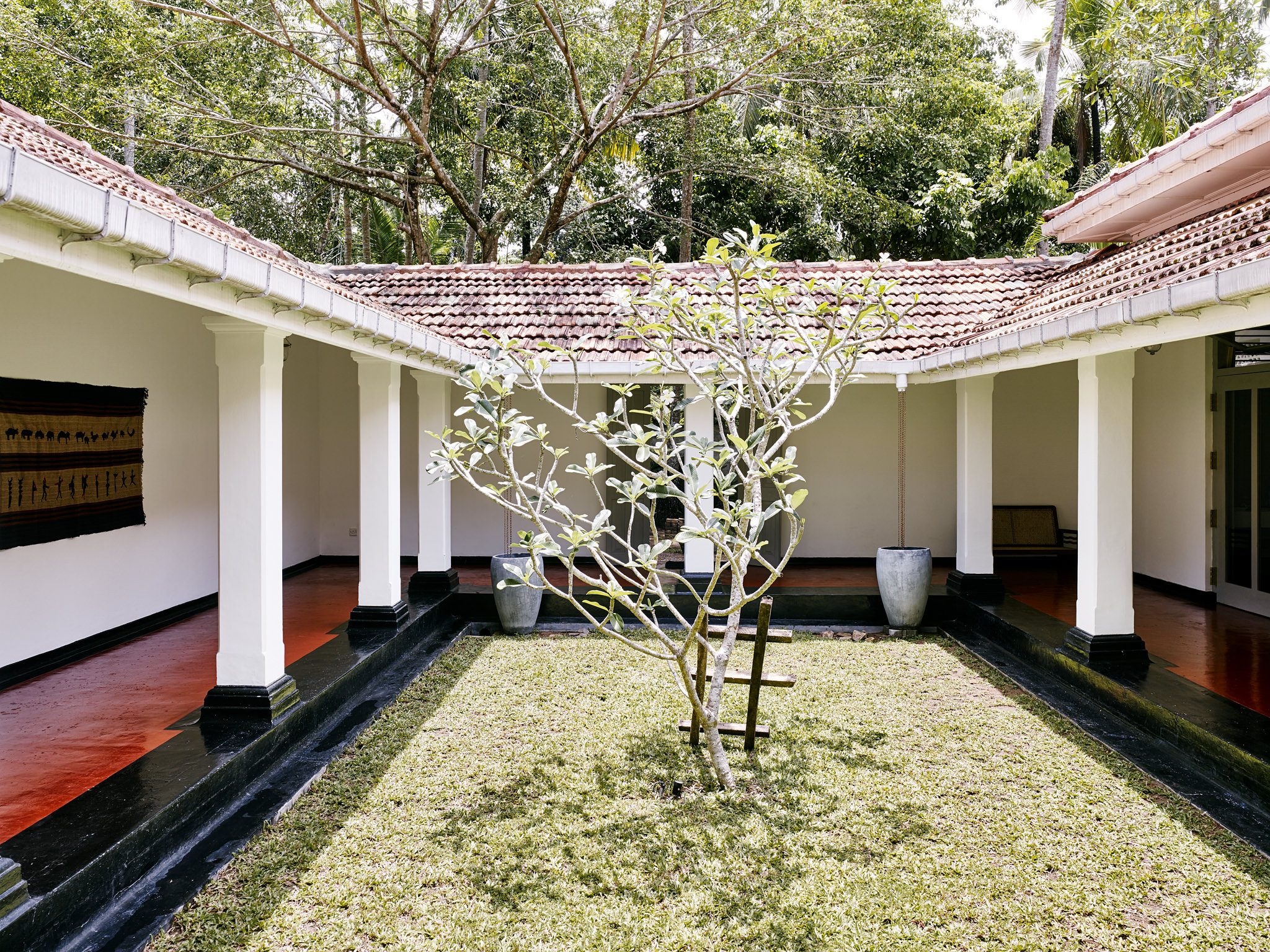 E15550 Alpa 049843 SCREEN